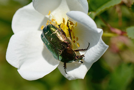 vergr&ouml;&szlig;ern