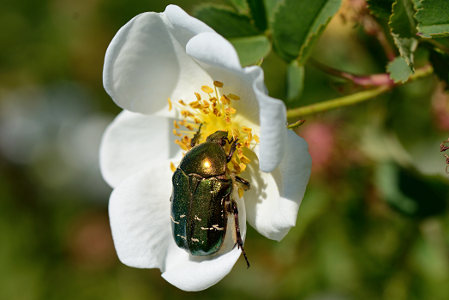 vergr&ouml;&szlig;ern
