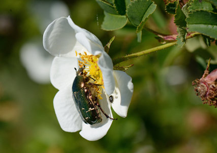 vergr&ouml;&szlig;ern