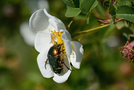 vergr&ouml;&szlig;ern