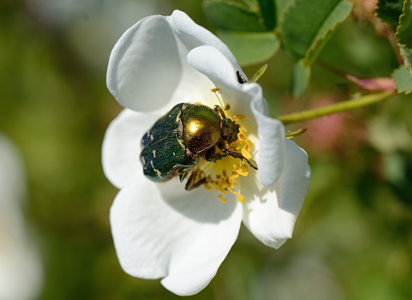 vergr&ouml;&szlig;ern