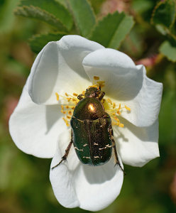 vergr&ouml;&szlig;ern