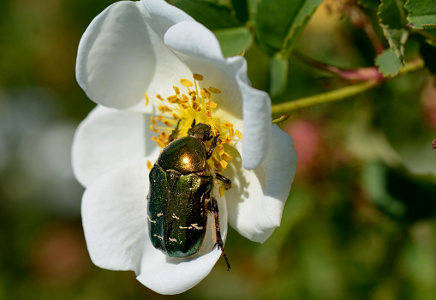 vergr&ouml;&szlig;ern