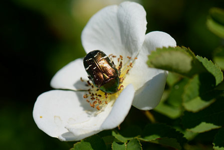 vergr&ouml;&szlig;ern