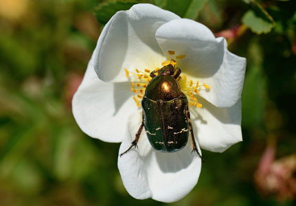 vergr&ouml;&szlig;ern