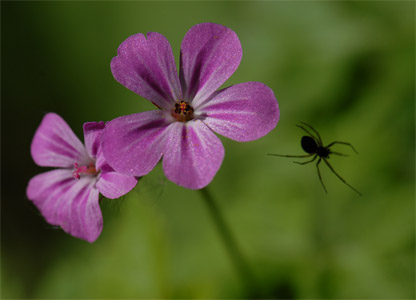 vergr&ouml;&szlig;ern