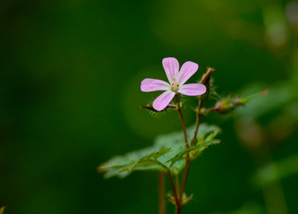 vergr&ouml;&szlig;ern