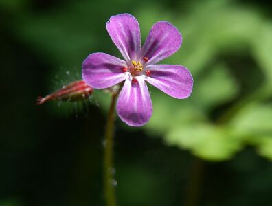 vergr&ouml;&szlig;ern