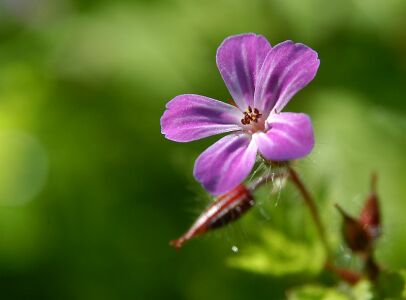 vergr&ouml;&szlig;ern