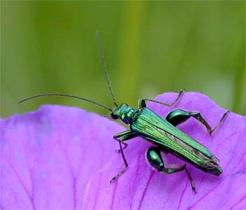 vergr&ouml;&szlig;ern