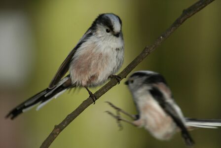 vergr&ouml;&szlig;ern