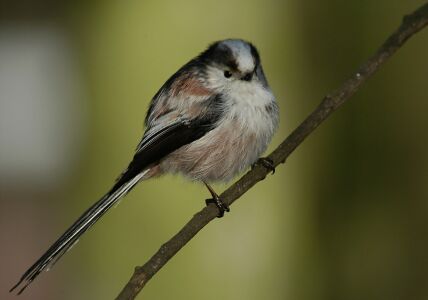 vergr&ouml;&szlig;ern