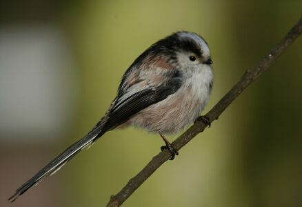 vergr&ouml;&szlig;ern
