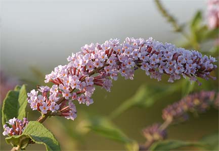 vergr&ouml;&szlig;ern