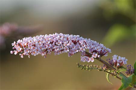 vergr&ouml;&szlig;ern