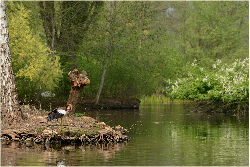 Südpark Düsseldorf