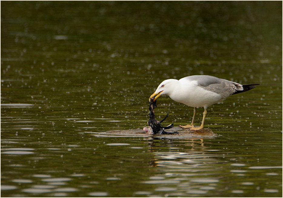 Südpark Düsseldorf