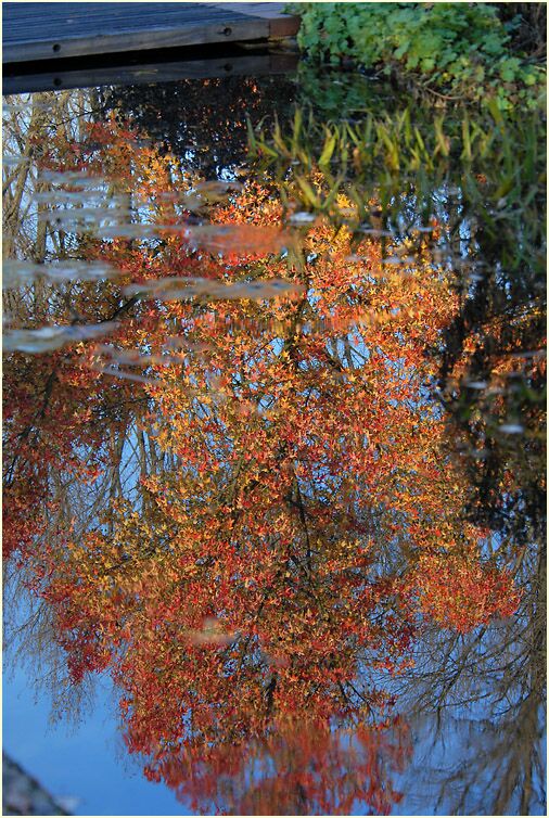 Südpark Düsseldorf