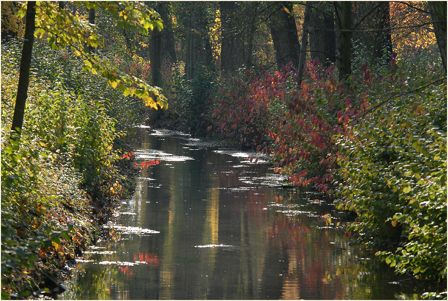 Düssel, Südpark Düsseldorf