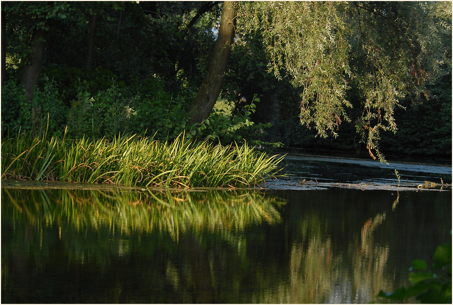 Südpark Düsseldorf