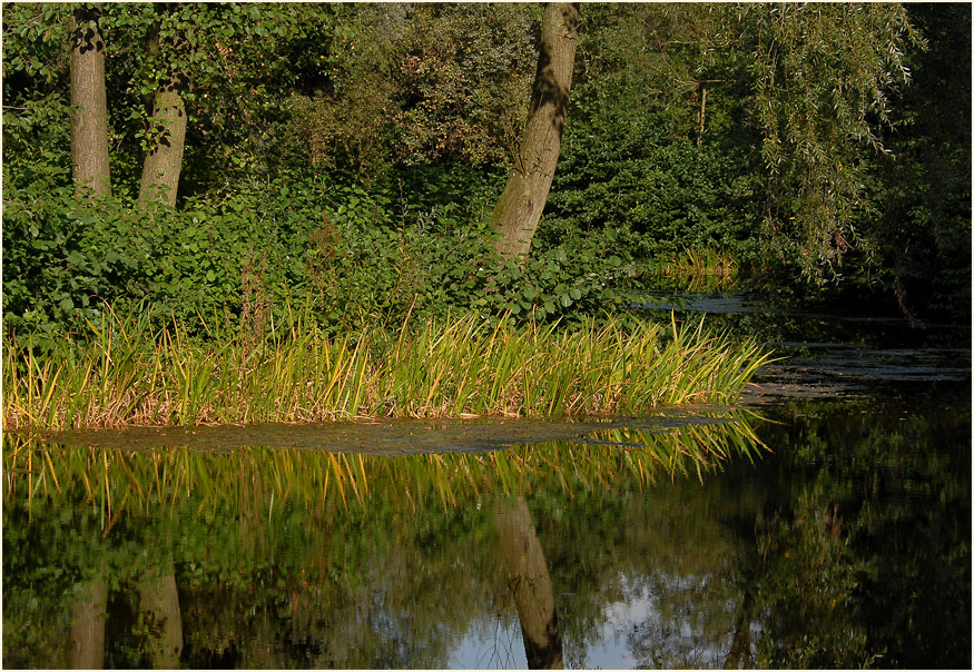 Südpark Düsseldorf