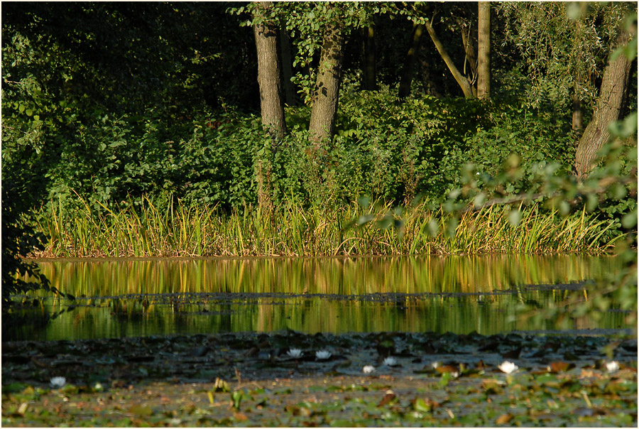 Südpark Düsseldorf