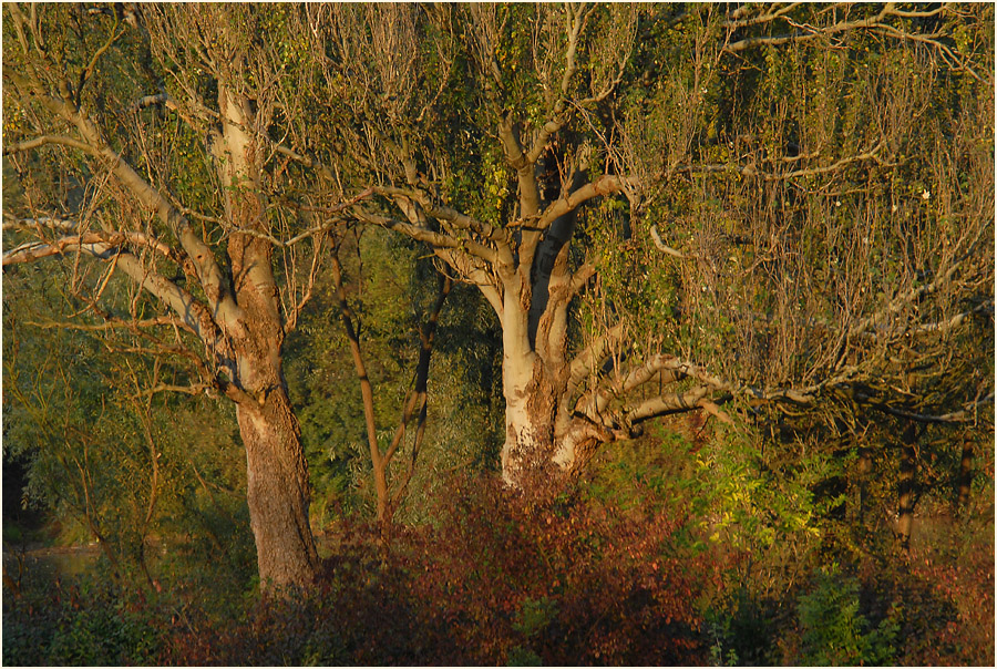 Südpark Düsseldorf
