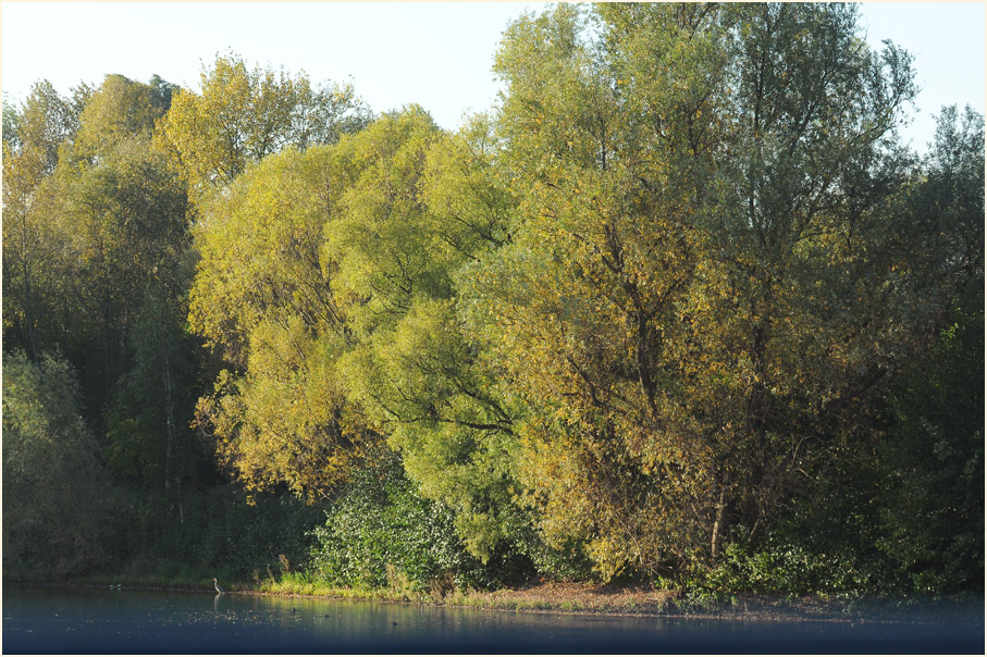 Südpark Düsseldorf