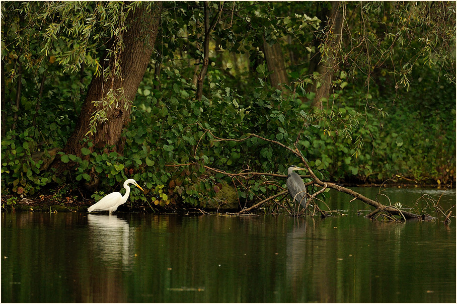 Südpark Düsseldorf