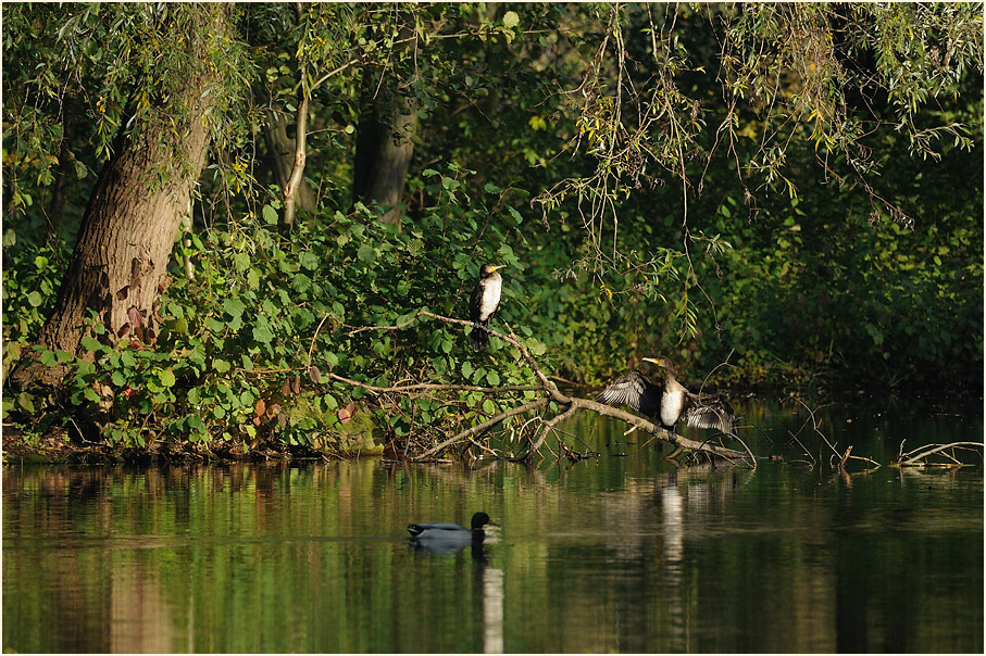 Südpark Düsseldorf