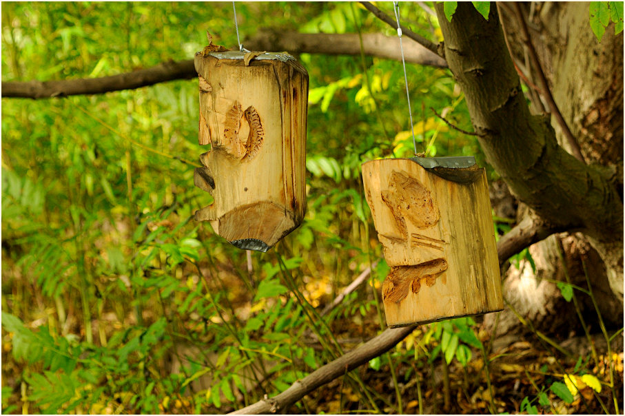 Kunst, Südpark Düsseldorf