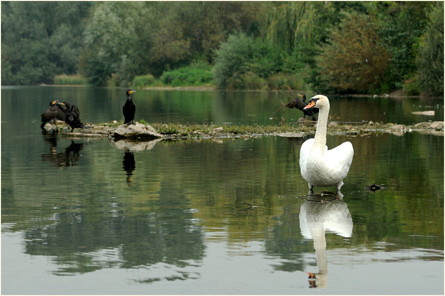 Südpark Düsseldorf