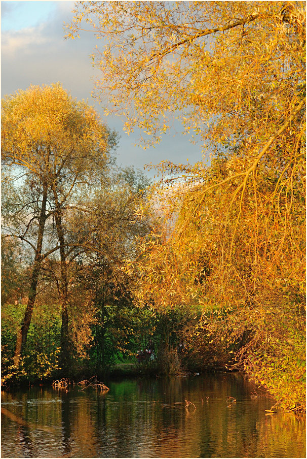 Südpark Düsseldorf