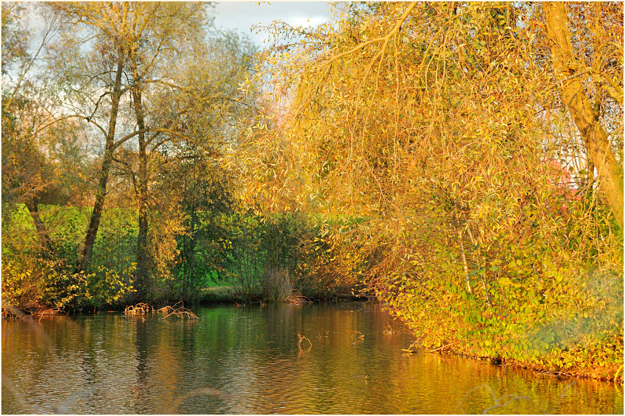 Südpark Düsseldorf