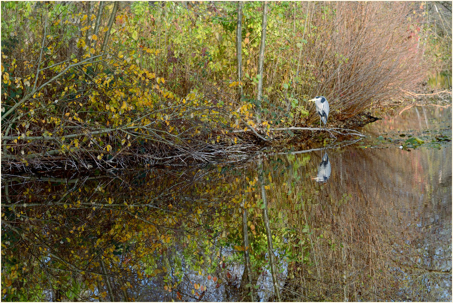 Südpark Düsseldorf