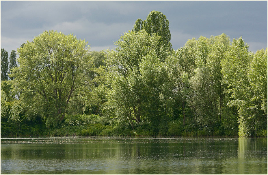Südpark Düsseldorf