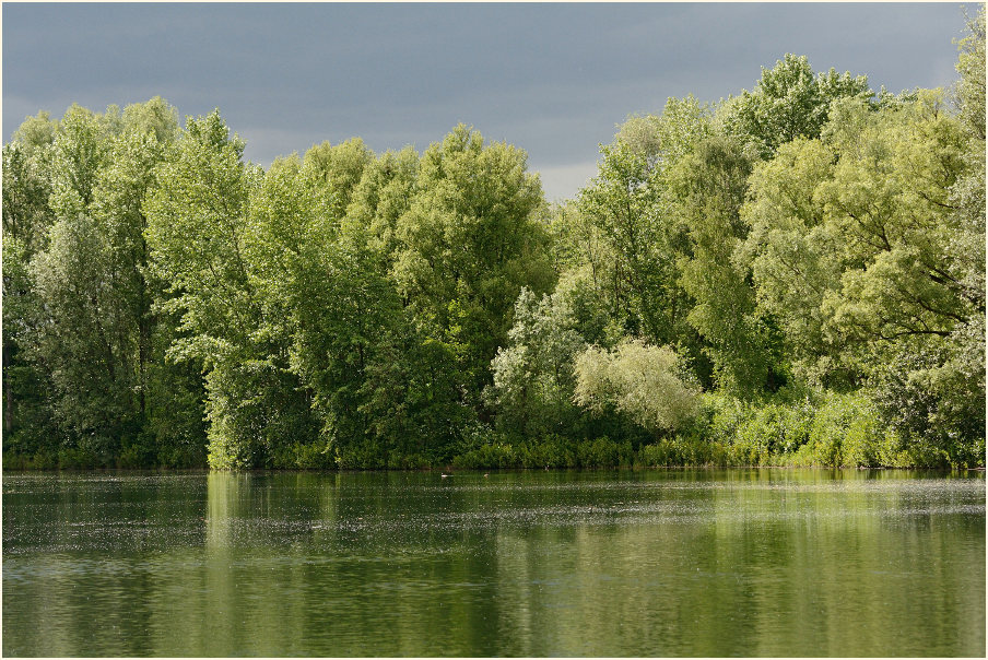 Südpark Düsseldorf