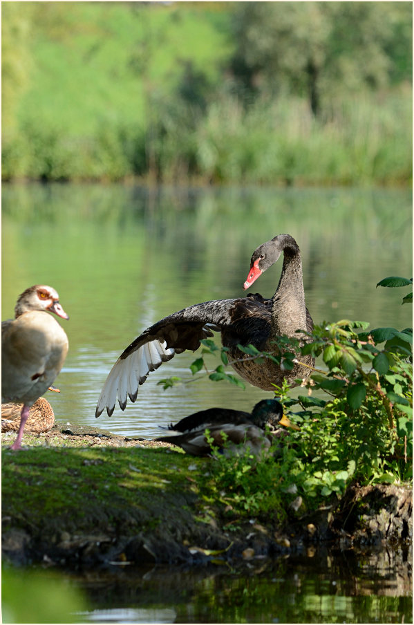 Südpark Düsseldorf