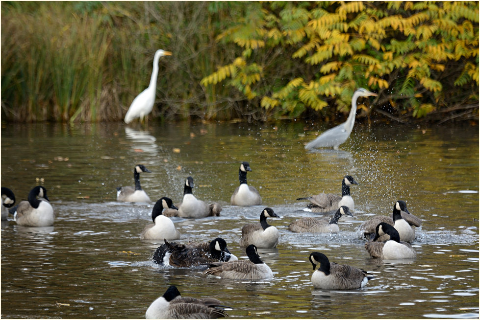 Südpark Düsseldorf