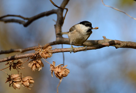 vergr&ouml;&szlig;ern