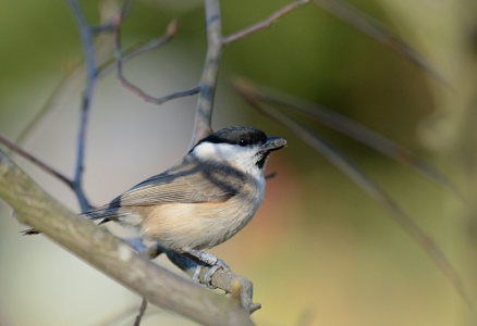 vergr&ouml;&szlig;ern