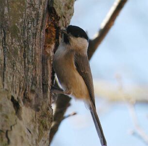 vergr&ouml;&szlig;ern