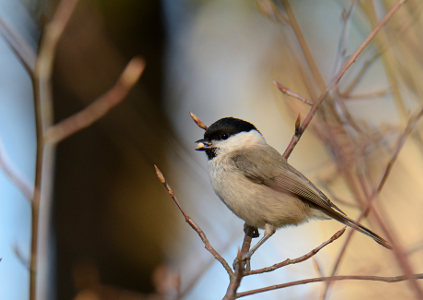 vergr&ouml;&szlig;ern
