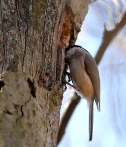 vergr&ouml;&szlig;ern