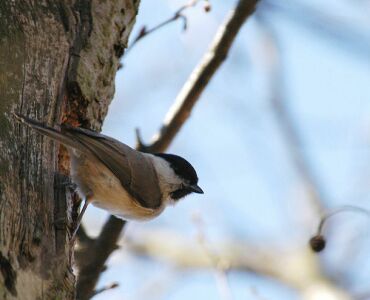 vergr&ouml;&szlig;ern