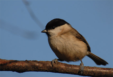 vergr&ouml;&szlig;ern