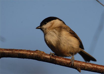 vergr&ouml;&szlig;ern