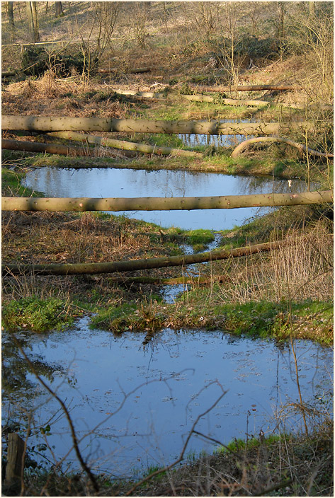 Aaperwald D&uuml;sseldorf