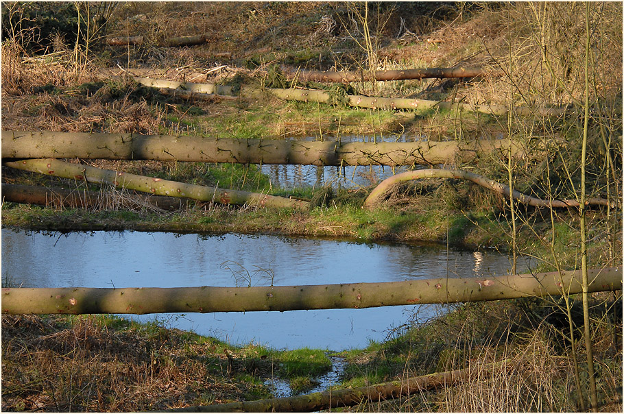 Aaperwald Düsseldorf