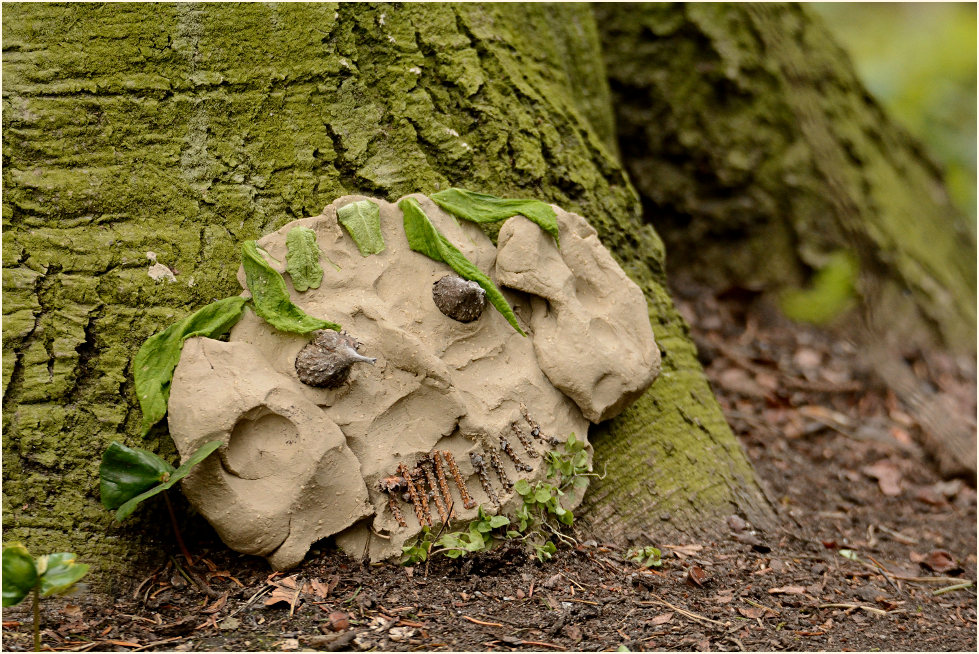 Aaperwald Düsseldorf